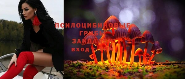 крисы Пестово