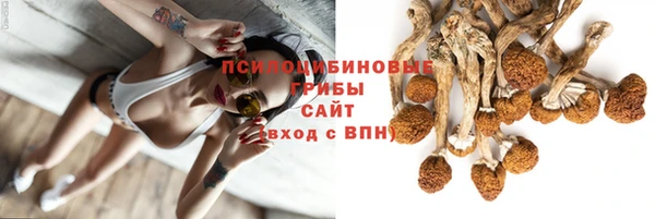 крисы Пестово