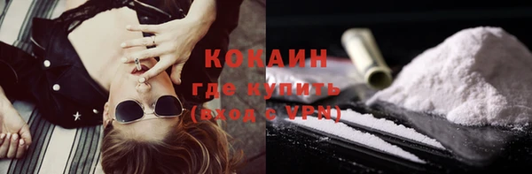 крисы Пестово