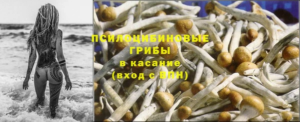 мескалин Переславль-Залесский