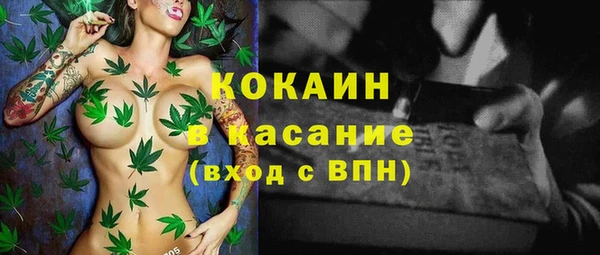 крисы Пестово