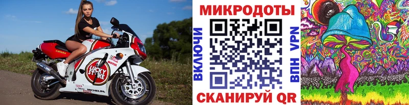 Псилоцибиновые грибы GOLDEN TEACHER  цена наркотик  Старый Крым 
